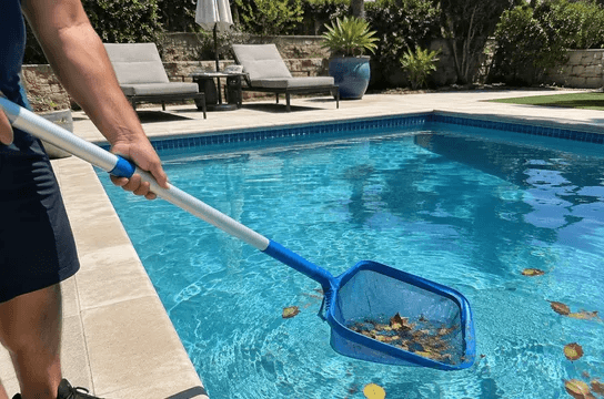 Netting leaves off the pool surface