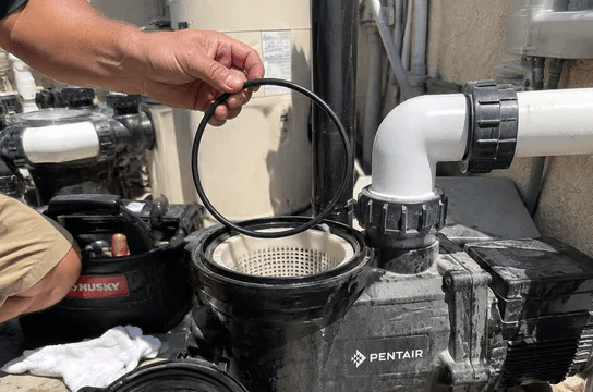 An opened pool pump wet end