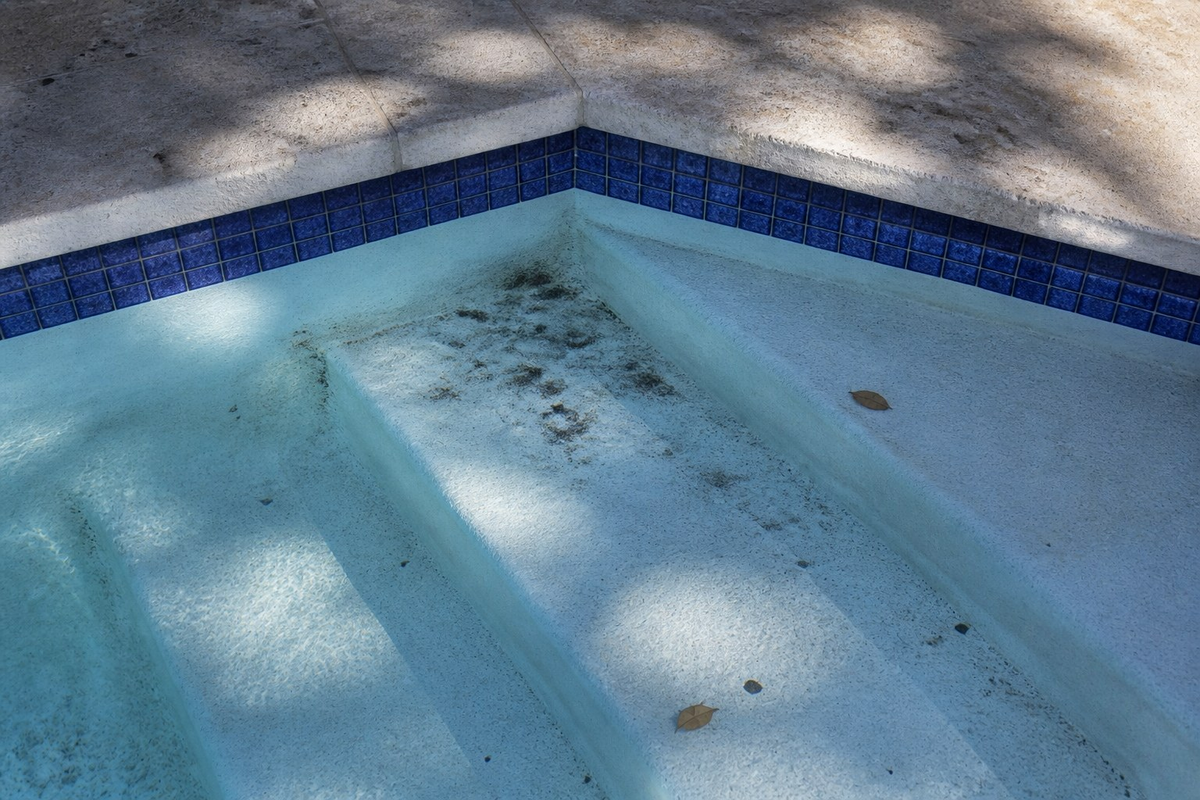 Dark fuzzy black algae patches bunched in the corner of a plaster pool step, seen through clear water in oak shade