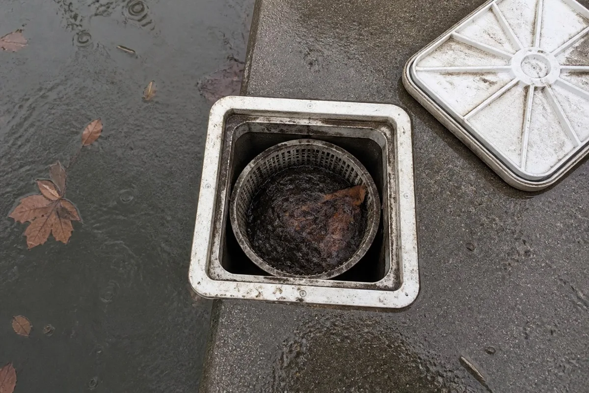 An open pool skimmer with the basket packed full of wet leaves after a rain storm