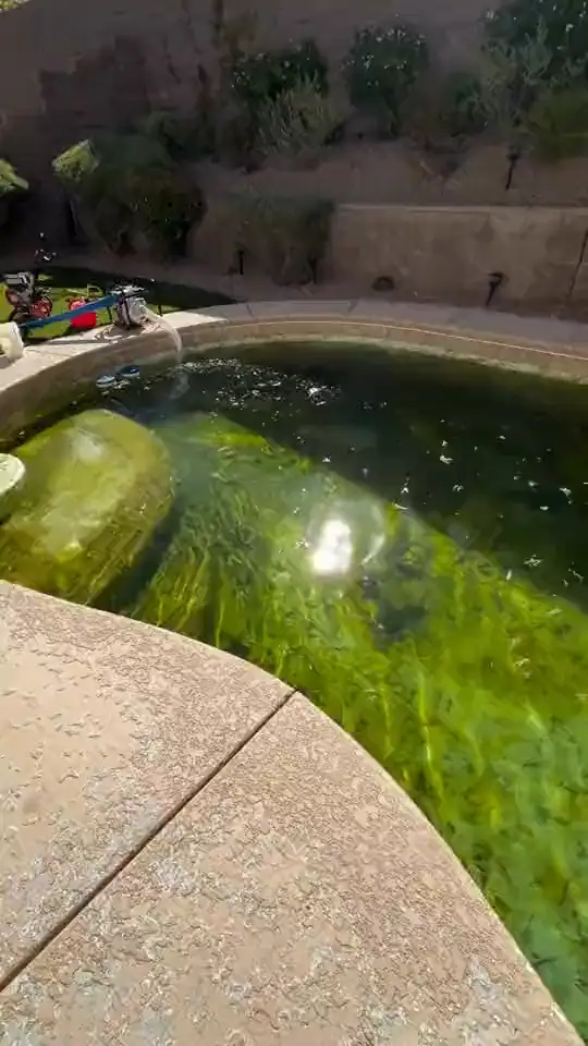 A swamp-green pool drained and washed back to bright