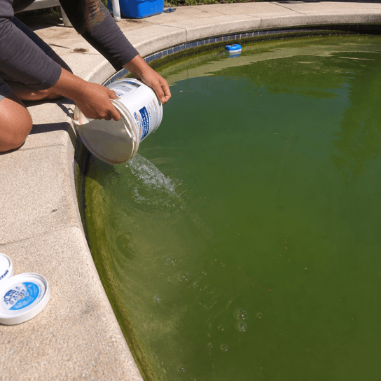 Before: steps invisible under green water