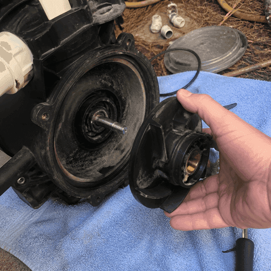 Before: the worn seal and impeller that came out
